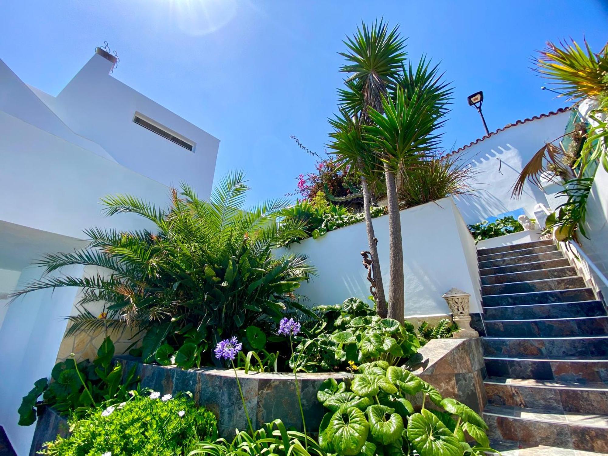 Villa Oasis La Paz - Pelinor Studio - Adults Only Puerto de la Cruz Kültér fotó