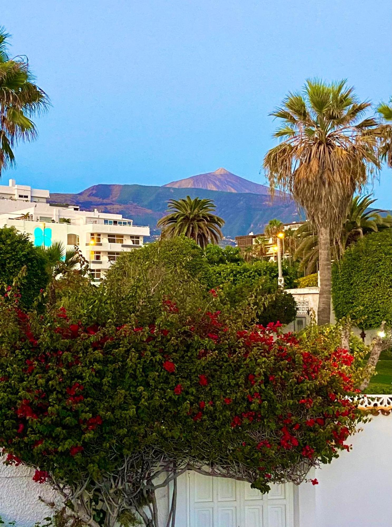 Villa Oasis La Paz - Pelinor Studio - Adults Only Puerto de la Cruz Kültér fotó