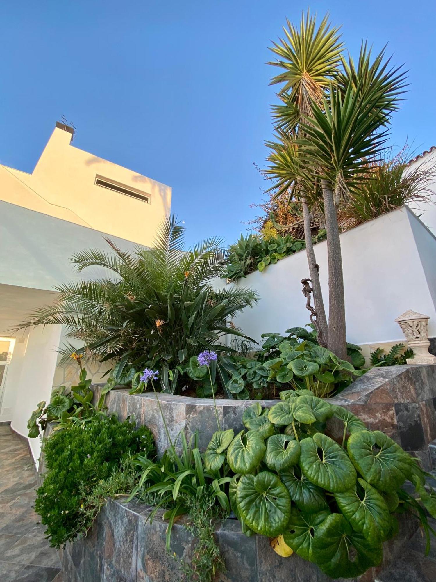 Villa Oasis La Paz - Pelinor Studio - Adults Only Puerto de la Cruz Kültér fotó